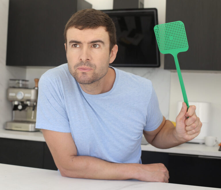 How to Keep Your Home Free From Pests This Summer