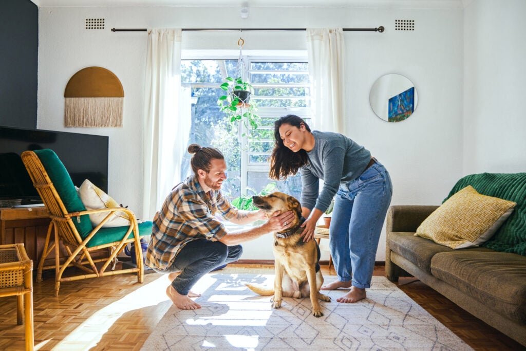 A couple laughs together while petting their dog in their sun-filled living room.