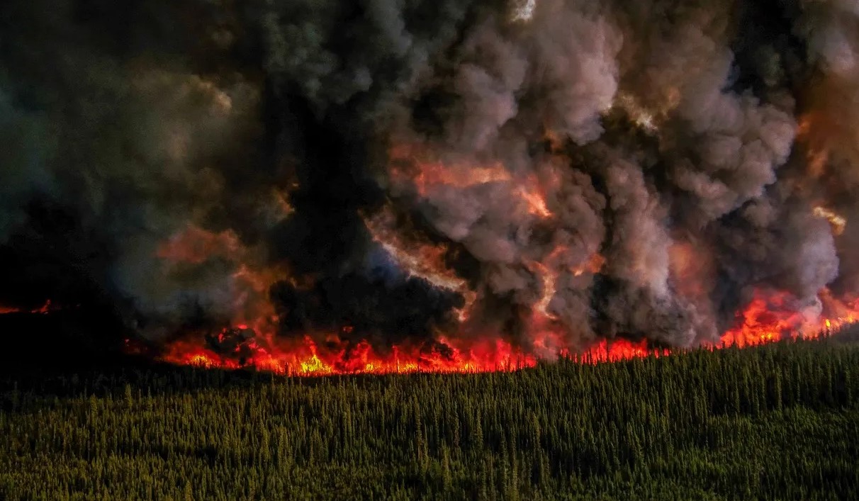 Wildfires are burning all over the globe, precipitated by climate change